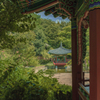 鶴見緑地の韓国庭園