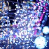 beautiful bokeh!
