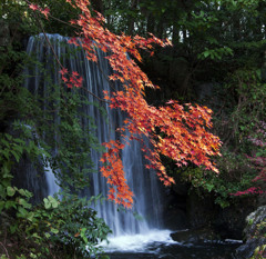 紅葉と滝