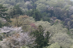 里山