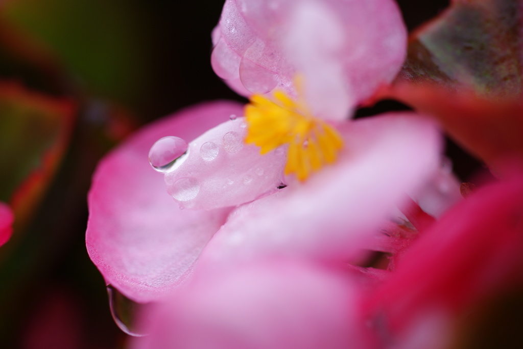 雨降り
