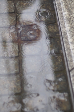 雨降り