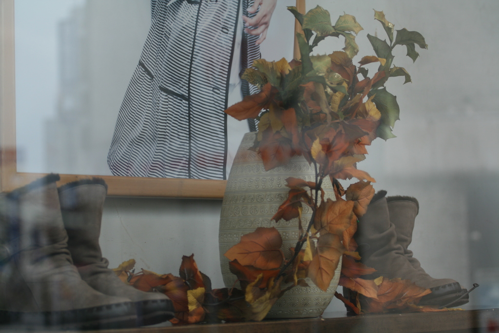 autumn