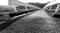生活橋