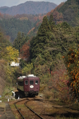 各駅停車