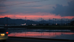 代搔き