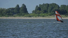 渡良瀬遊水地