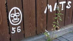 ナゾ