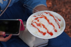 snow ice