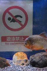 水族館