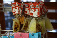 栃木