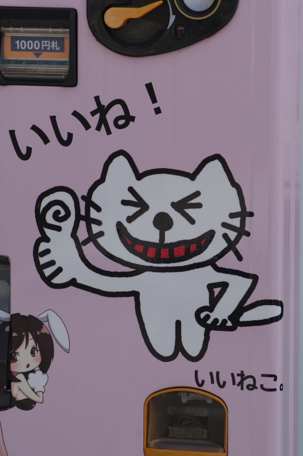 いいねこ。