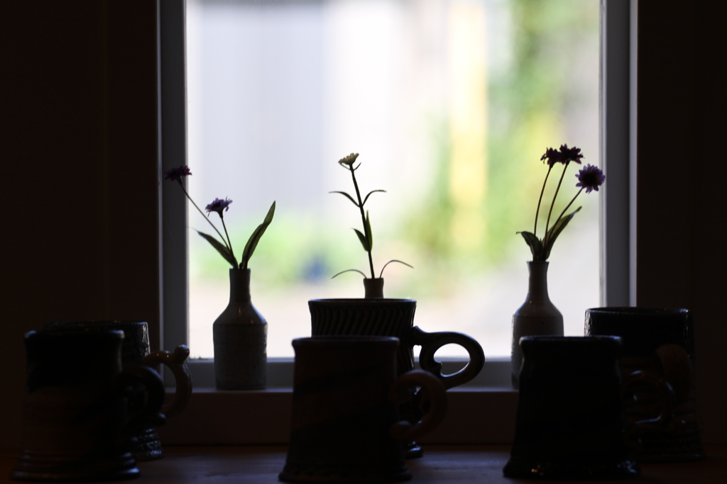 silhouette