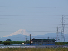 ふじやま　
