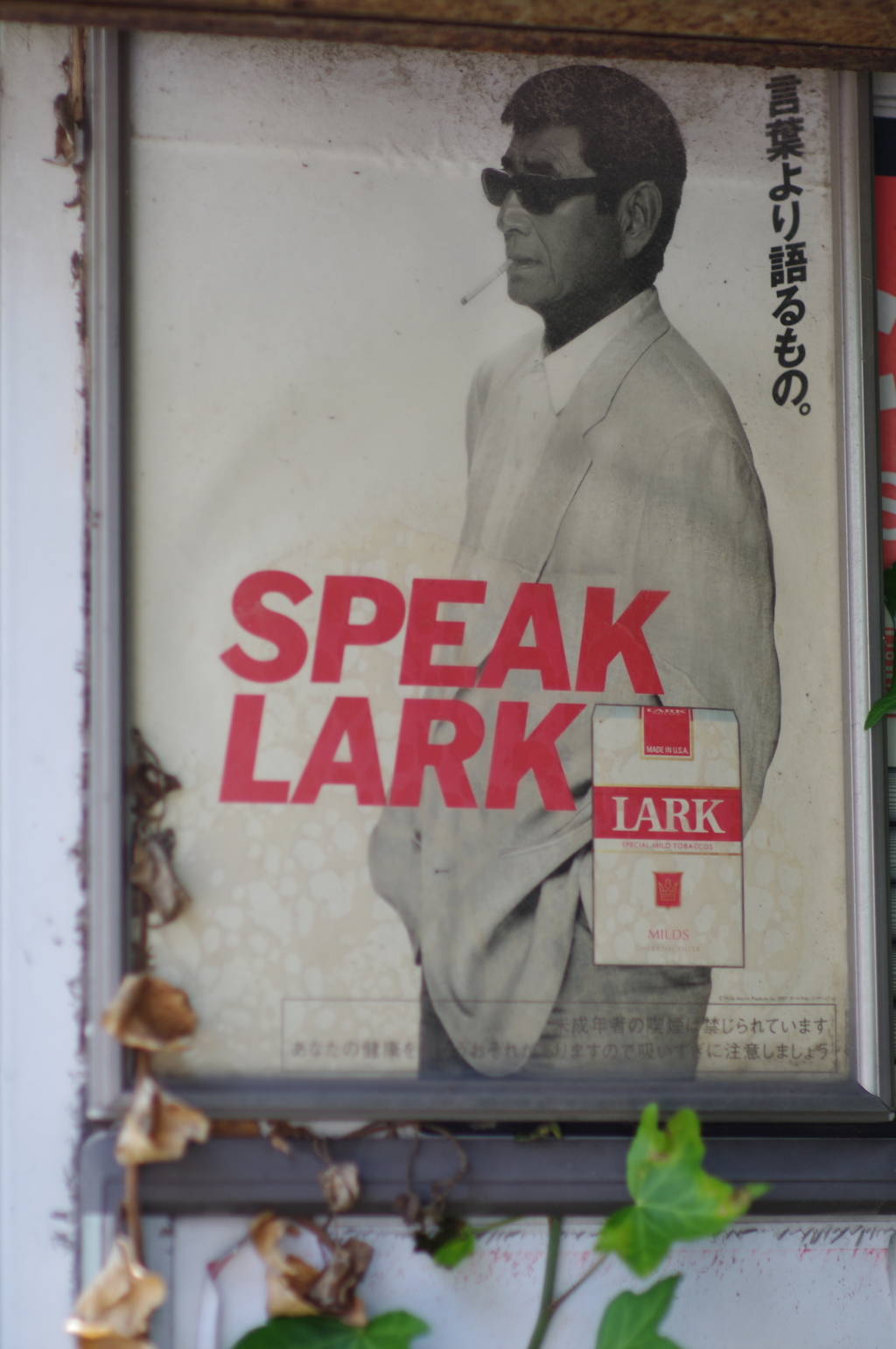 言葉より語るもの　散歩コースのポスター