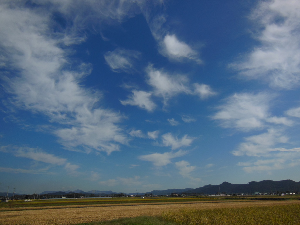 秋空