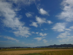 秋空