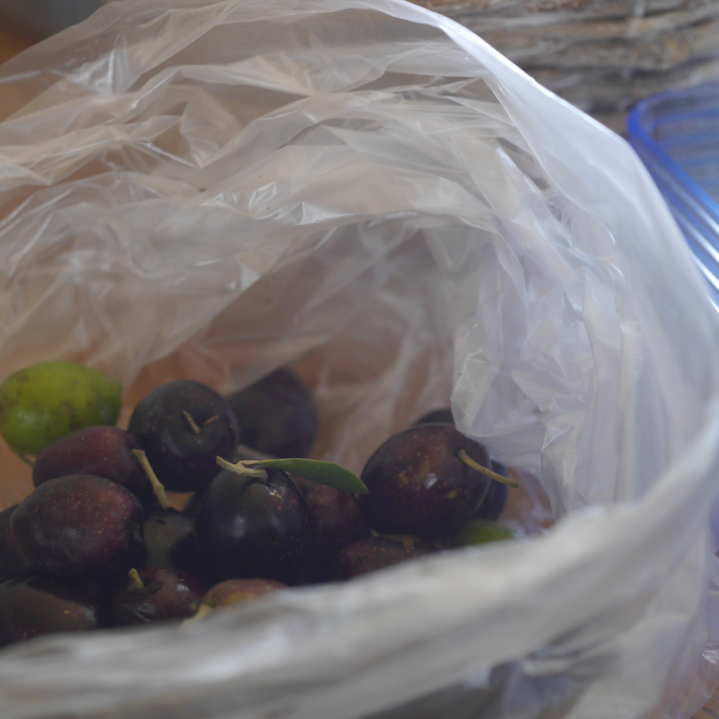 olive