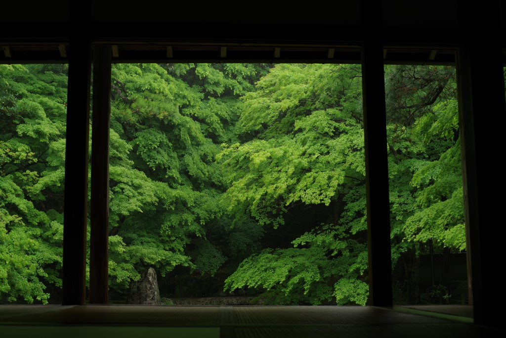 緑窓_弐