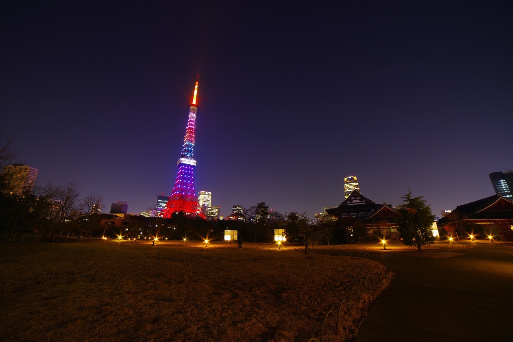 東京タワー#1