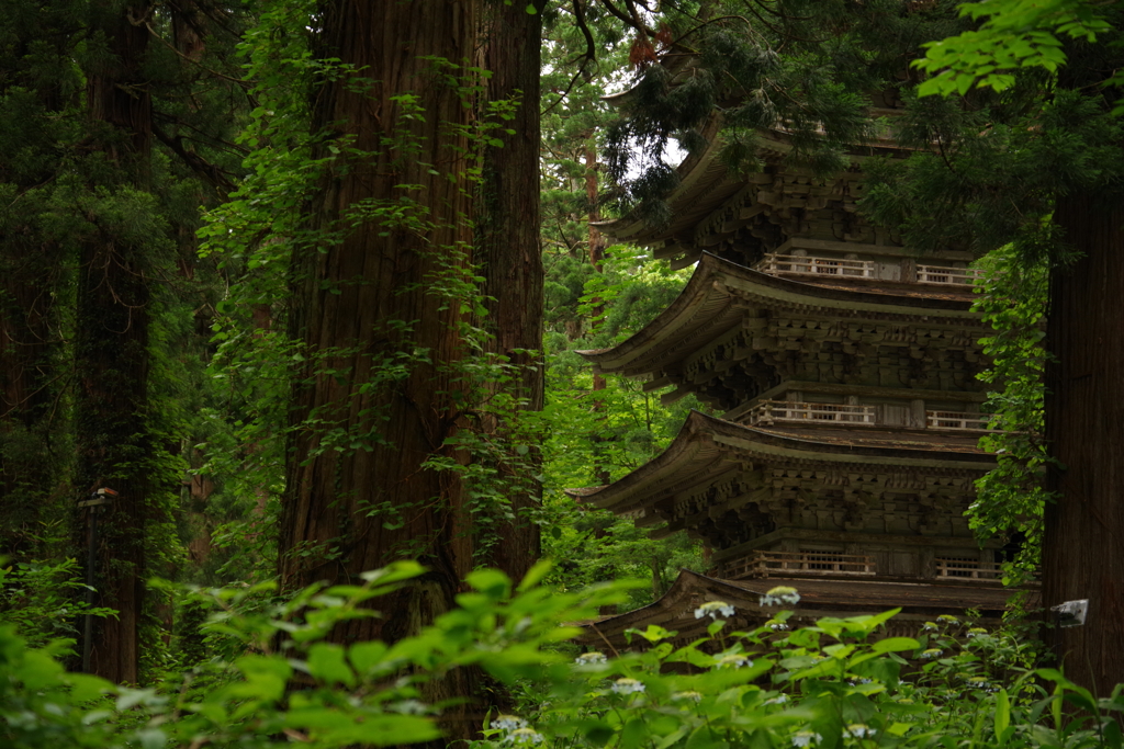 五重塔_羽黒山