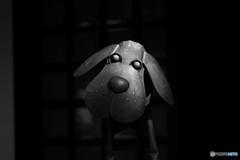 iron dog