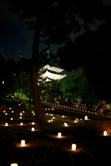 燈花会2017興福寺