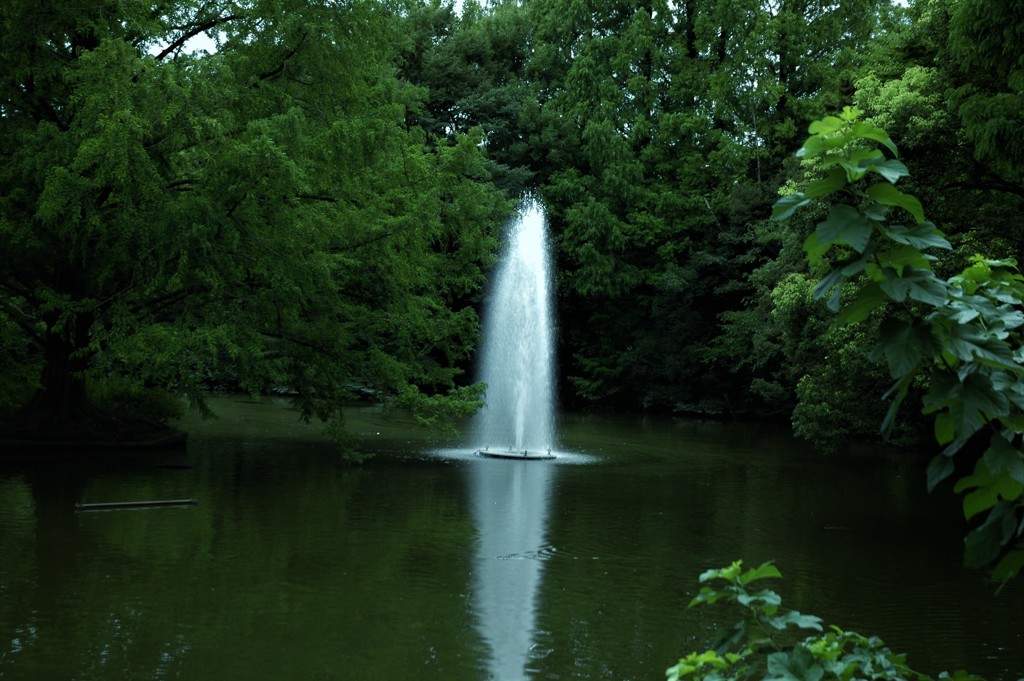 fountain