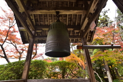 お寺の秋
