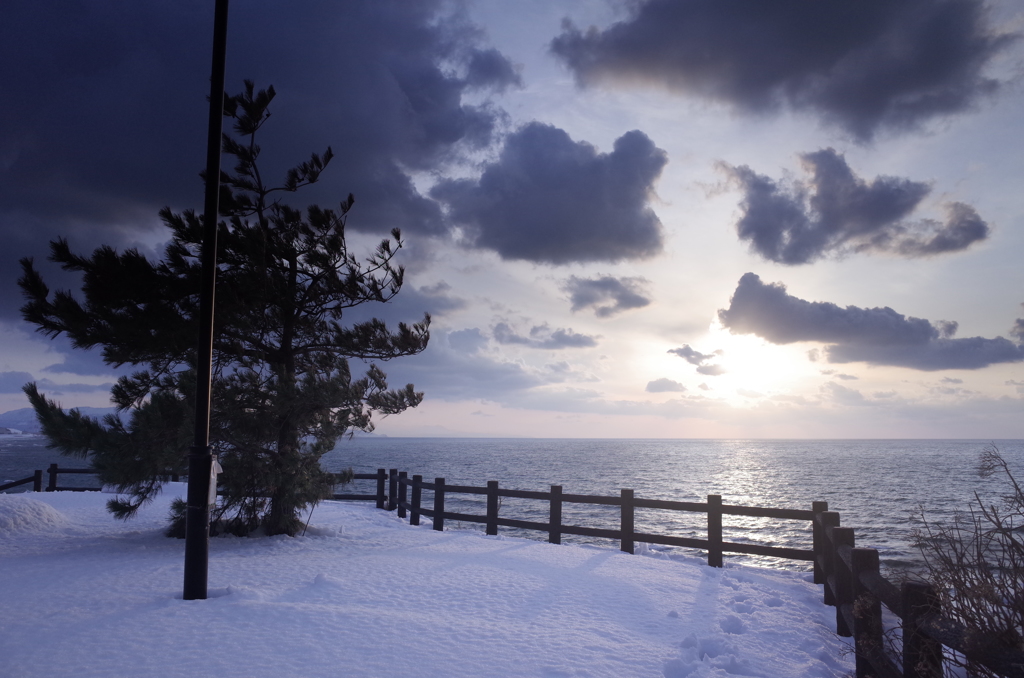 海を見下ろす公園