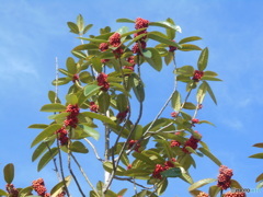 それに向かって