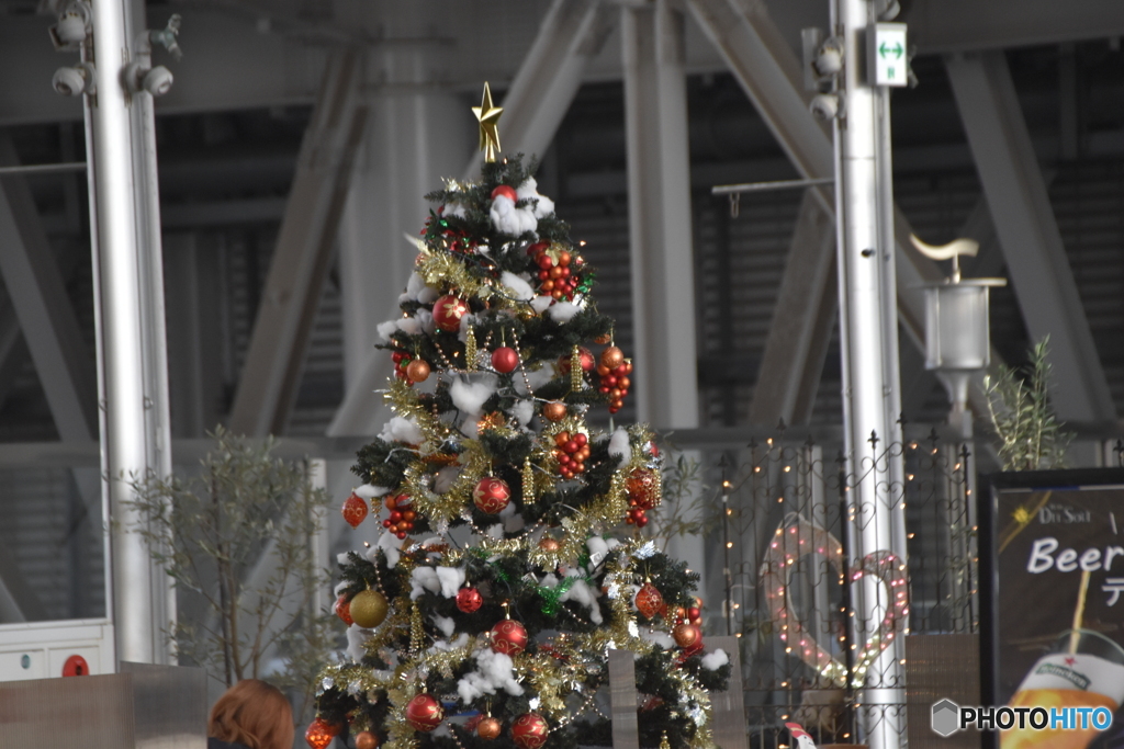 大阪駅のツリ－