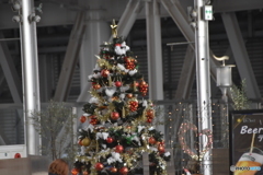 大阪駅のツリ－