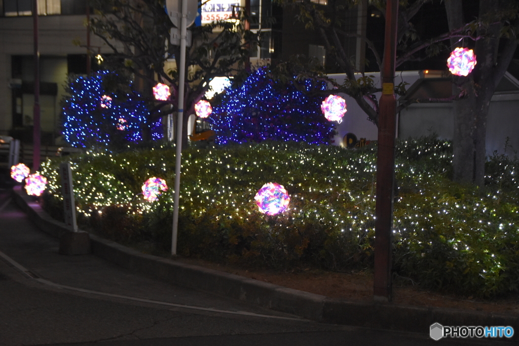 質素なイルミ２