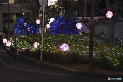 質素なイルミ２