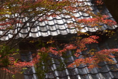 屋根瓦に。。。！