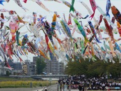 団体学生、鯉幟 団体学生、鯉幟