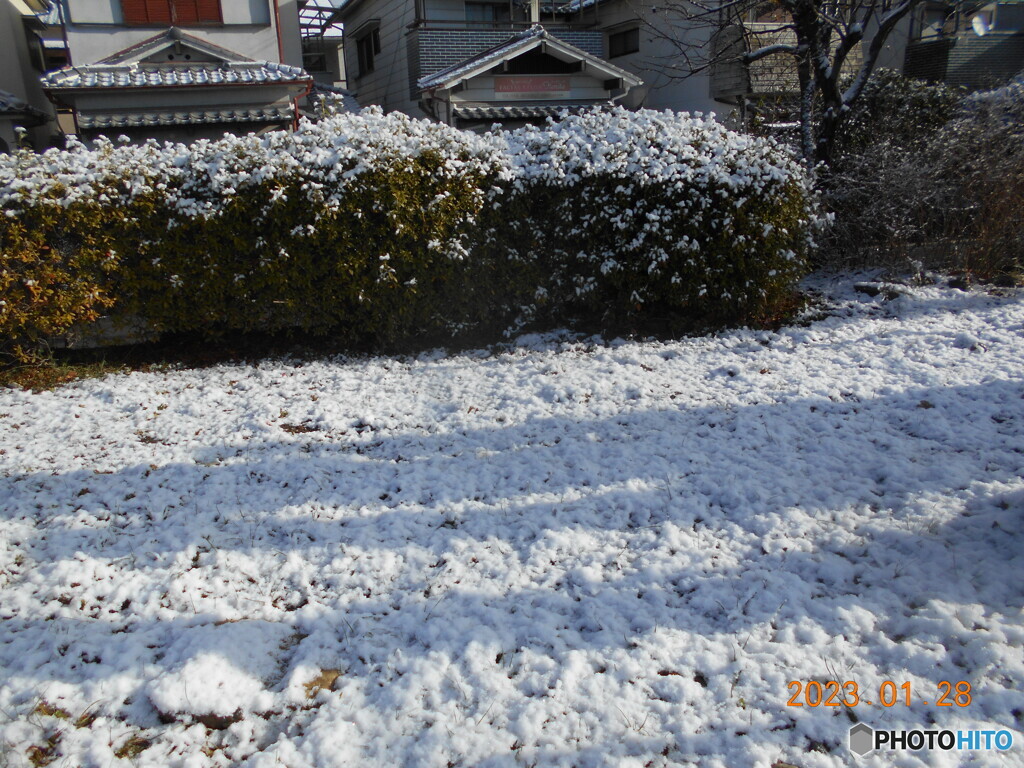 3回目の雪