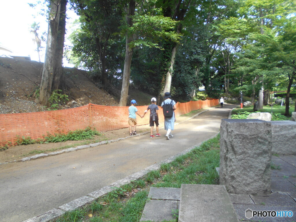 公園の散歩道