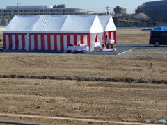 来年までお楽しみ?