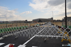 新道