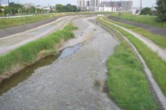 陰決の川