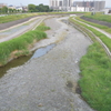 陰決の川