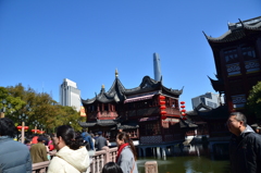 上海春節６