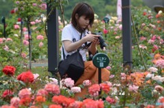 いいバラ撮れたかな？