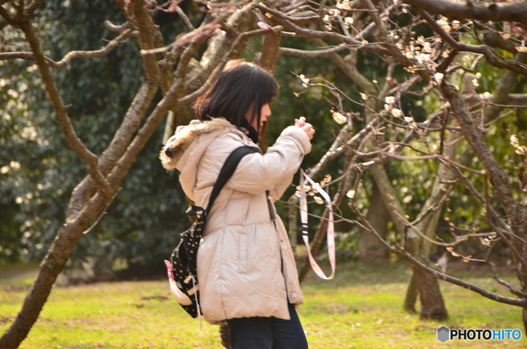 綺麗に撮れたかな？