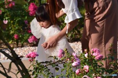 可愛い妖精ちゃん