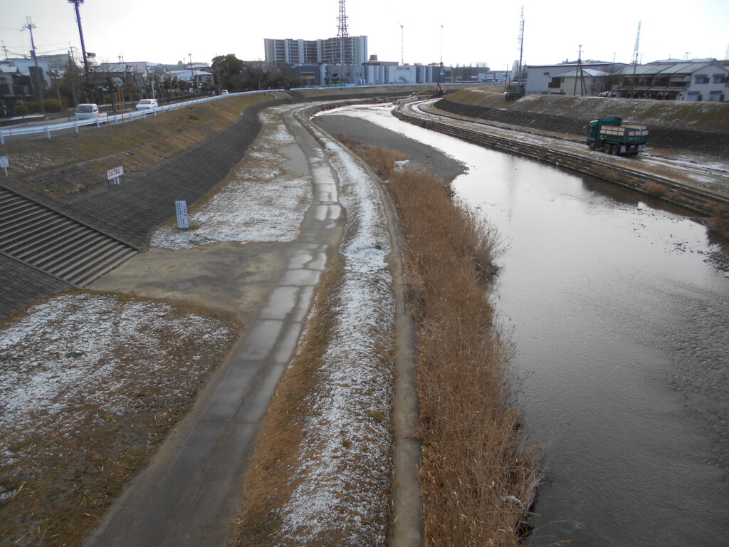 今朝の雪
