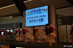 こちらチアダンス部