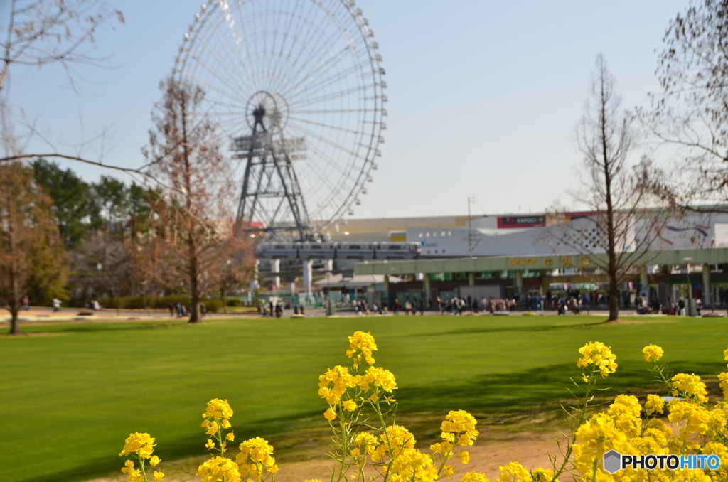 風景